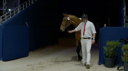 146	MITICO DEL COLLE