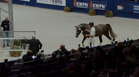 070	UPTON'S FUNKY ECHO WY