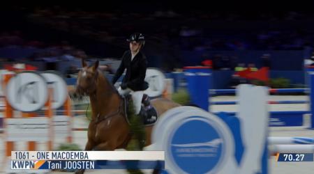 Finale BLOM Hengstencompetitie - Klasse 1.20m