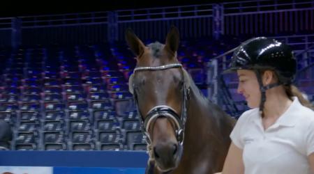 409 SPECIAL SURPRISE