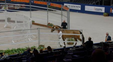 090	WINNING TOUCH VD GULDENNAGEL